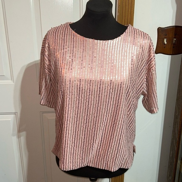 Good Hart By Matilda Jane Blush Pink Sequin Short Sleeve Top Size Medium - Picture 2 of 5